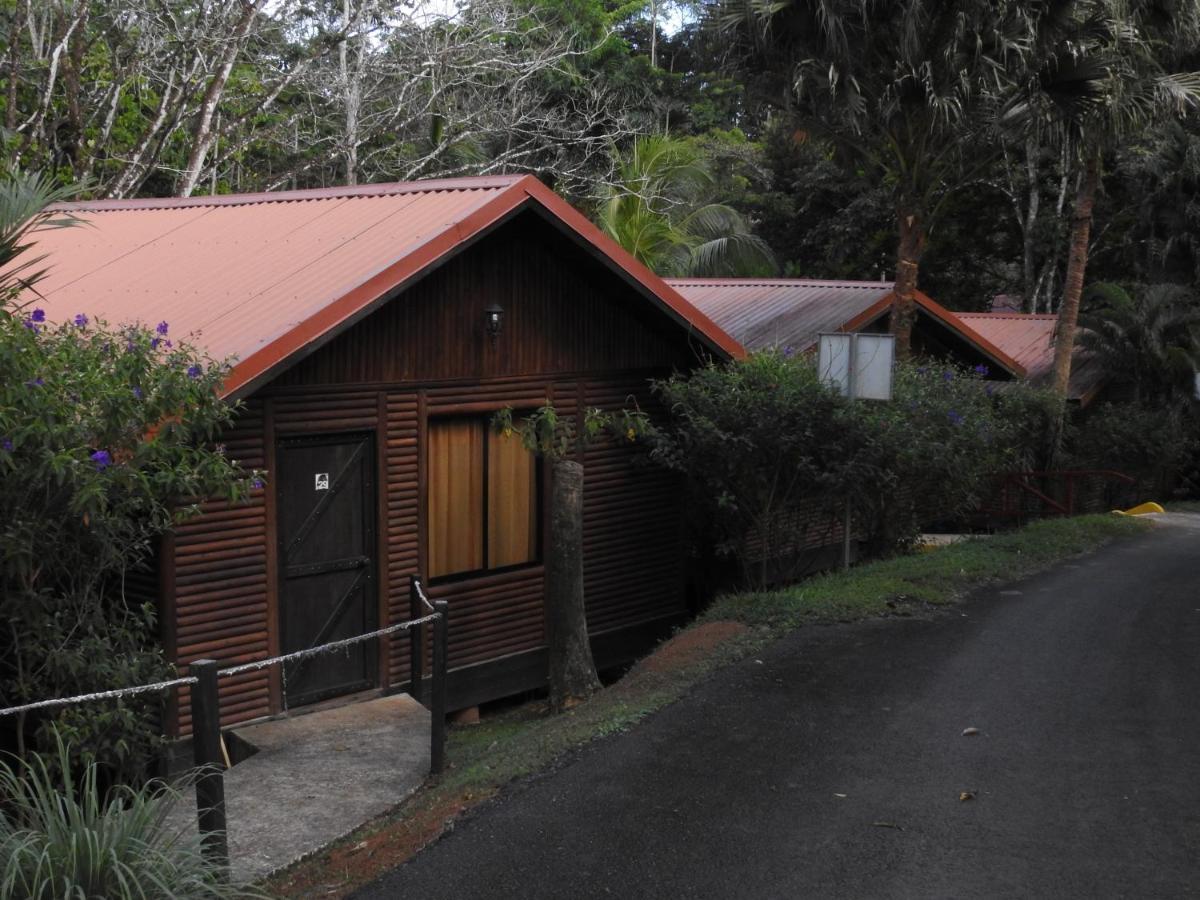 Hotel Pedacito De Cielo Boca Tapada Dış mekan fotoğraf