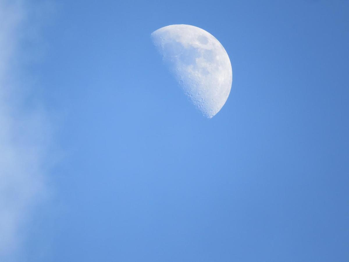 Hotel Pedacito De Cielo Boca Tapada Dış mekan fotoğraf